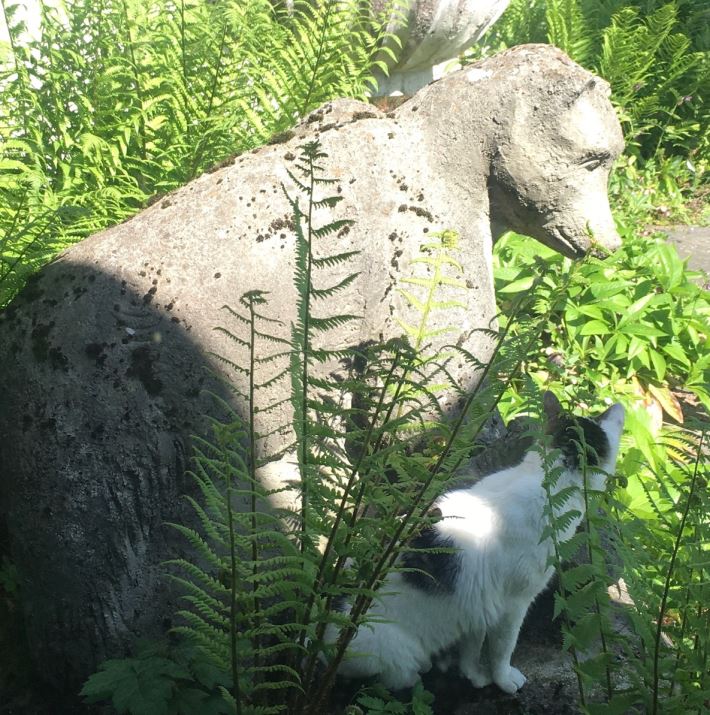 Wie gut, dass der Bär den kleinen Kater Olaf so sorgsam beschützt.